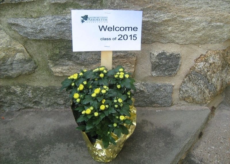 Welcome Class of 2015!