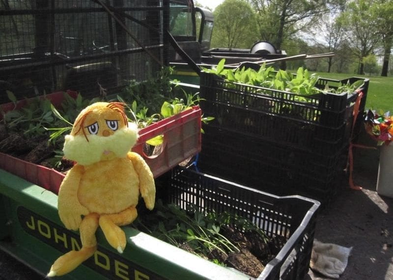 Haverford Celebrates Earth Day