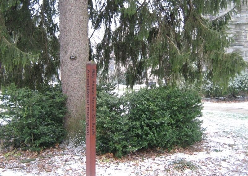 From Haverford to Bangladesh: A Message of Peace