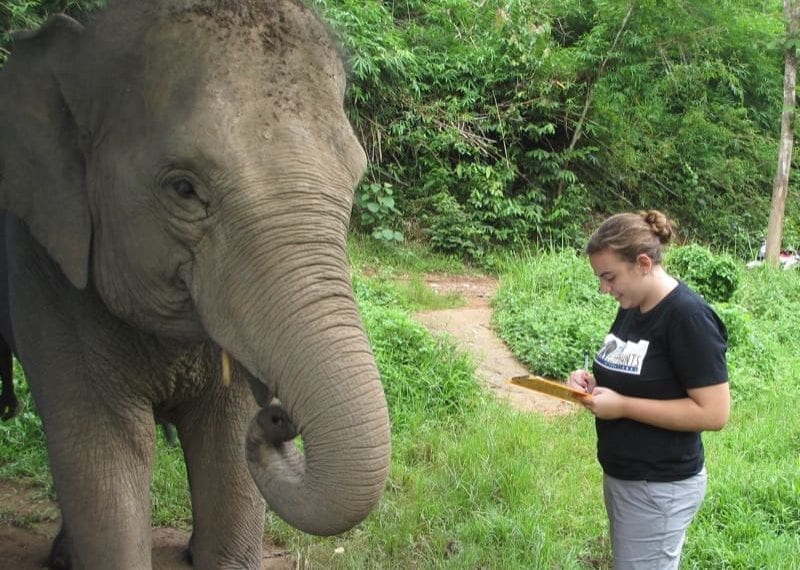 Where They’re Headed: Sophie Wasserman ’13