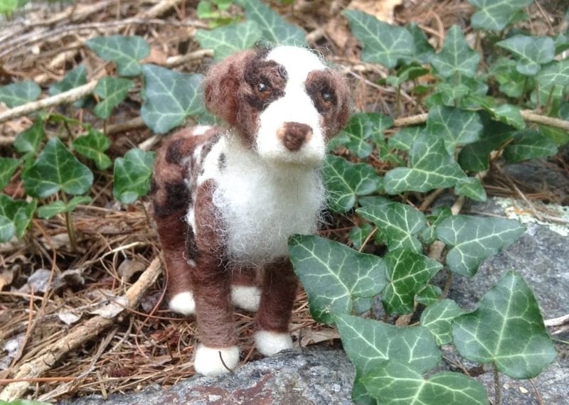 Haverford Gift Guide