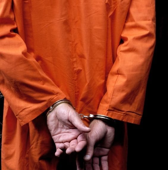 WHAT THEY LEARNED: Abigail Flynn ’14