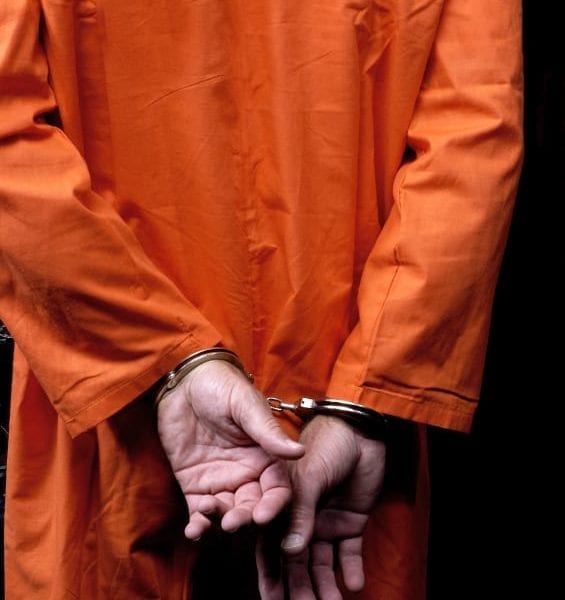 WHAT THEY LEARNED: Abigail Flynn ’14