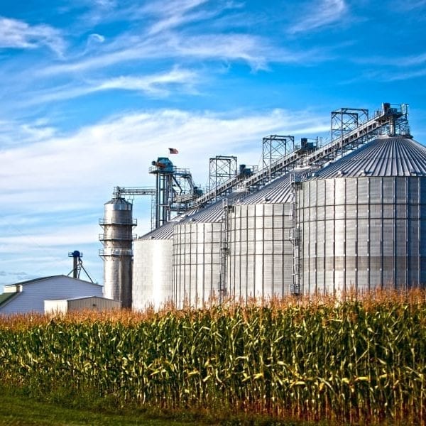 WHAT THEY LEARNED: Katie Ulrich ’14