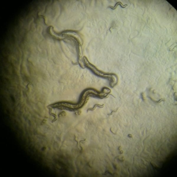 WHAT THEY LEARNED: Robert Brooks ’14