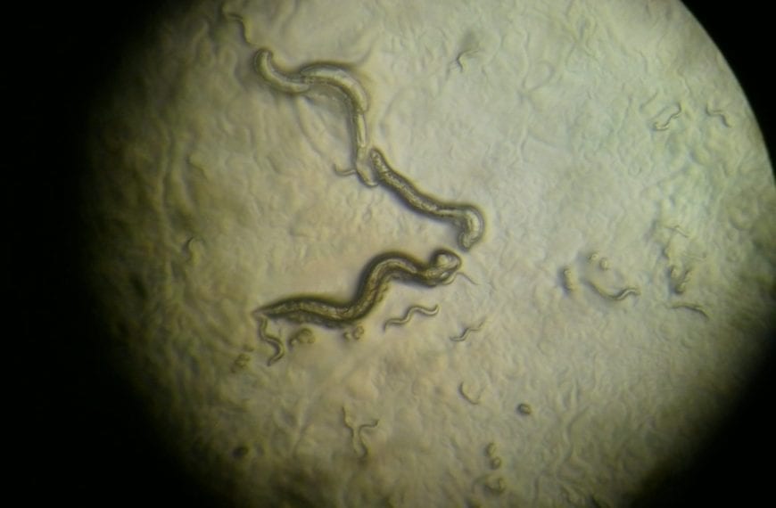 WHAT THEY LEARNED: Robert Brooks ’14