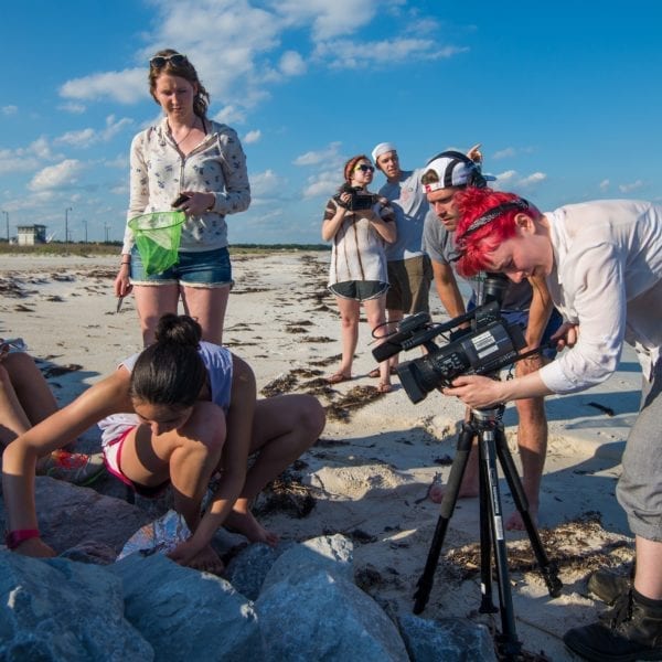 First screening of WAKE