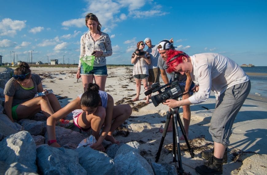 First screening of WAKE