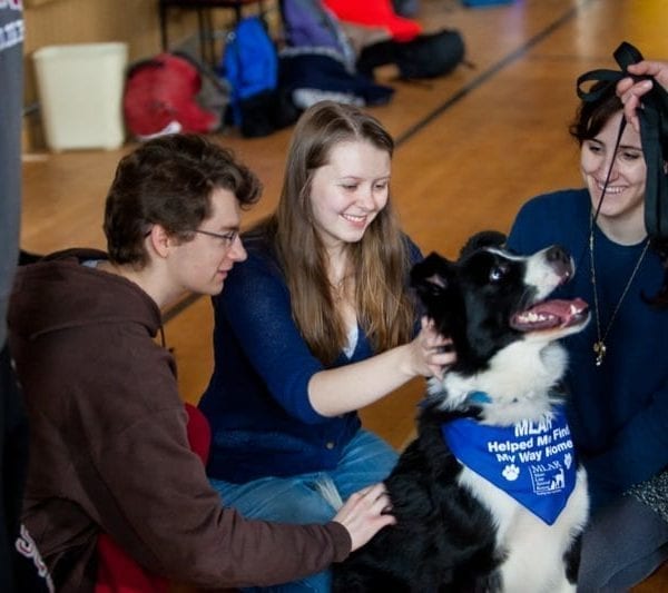 Students De-Stress With Rescue Dogs