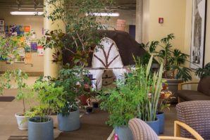 Dwarfs-House_DSC03596