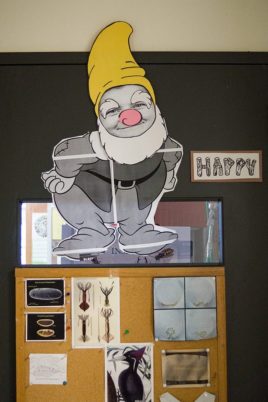 Happy-Dwarf_Rachel-Hoang_DSC03592