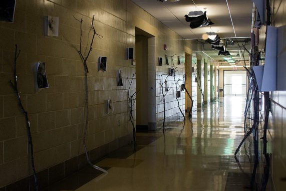 The-Forbidden-Forest_IMG_1852