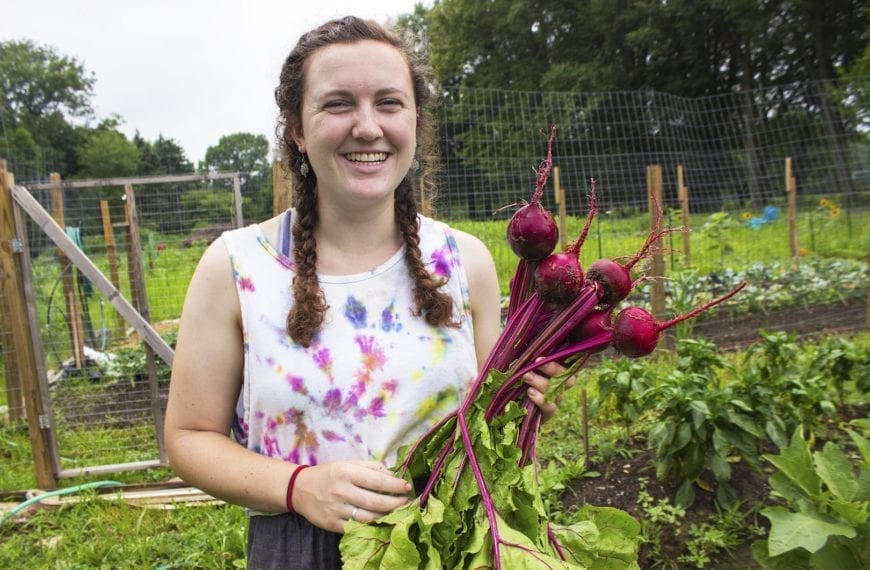 A Summer Bounty at the HaverFarm