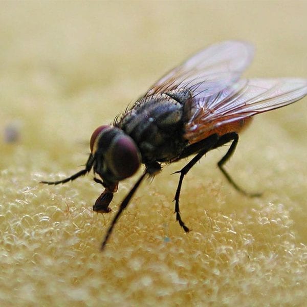 WHAT THEY LEARNED: Matthew Holmes ’15