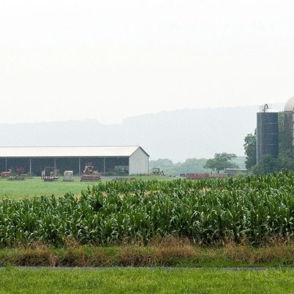 WHAT THEY LEARNED: Asha Warner ’15