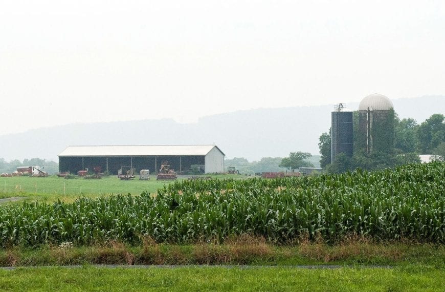 WHAT THEY LEARNED: Asha Warner ’15