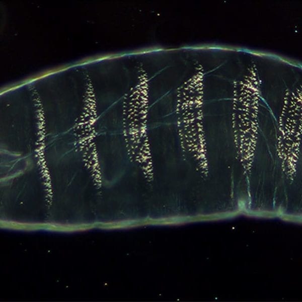 WHAT THEY LEARNED: Brenna Lilley ’15