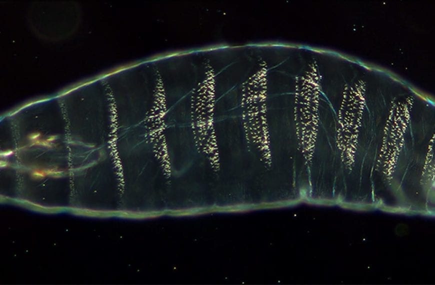 WHAT THEY LEARNED: Brenna Lilley ’15