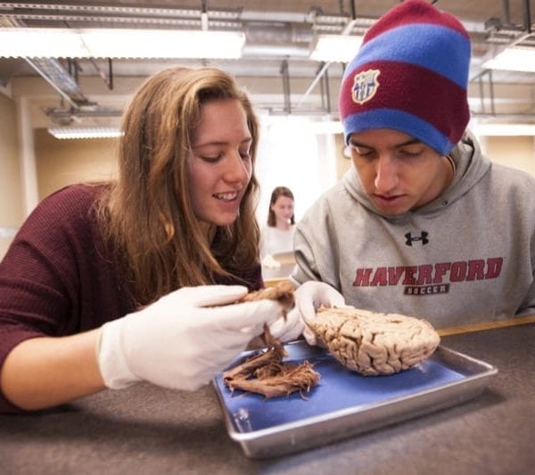 COOL CLASSES: “Neurobiology of Sexual Behavior”