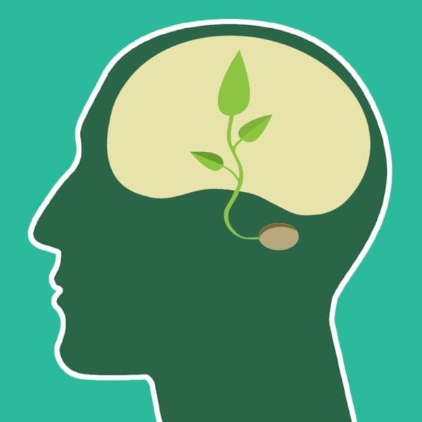 COOL CLASSES: “Environmental Psychology and Conservation”