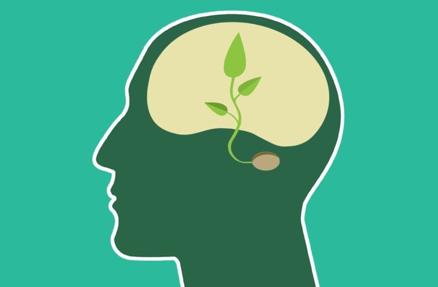 COOL CLASSES: “Environmental Psychology and Conservation”