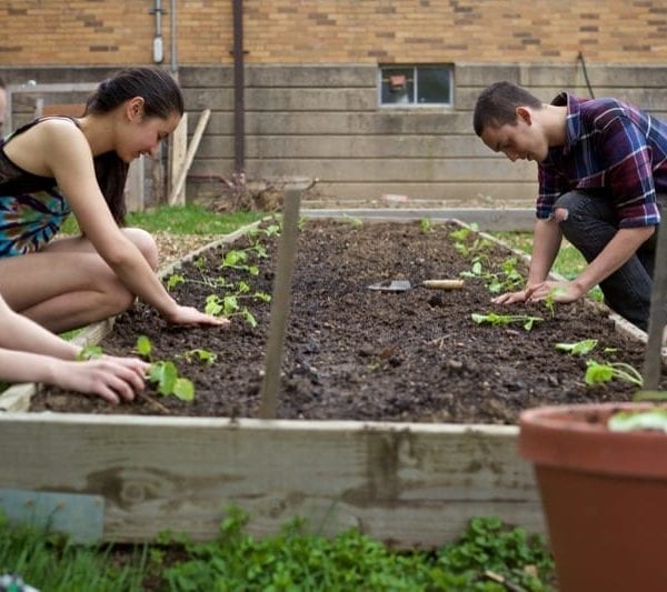 Celebrating A Campus Commitment to Sustainability