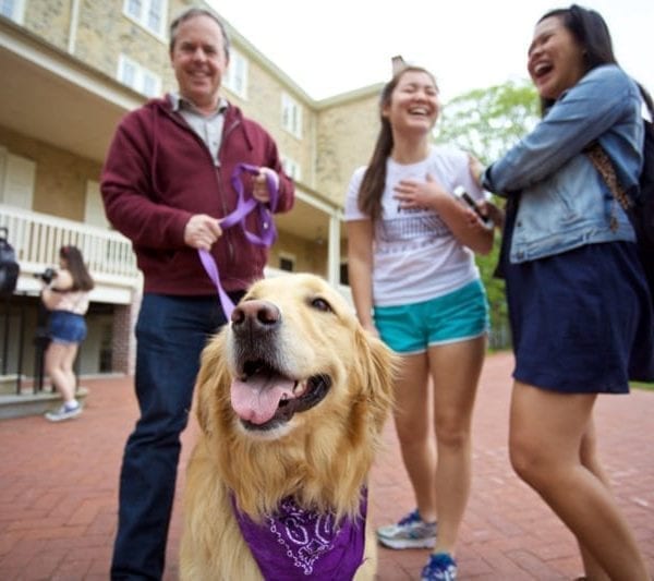 The Cutest Study Break