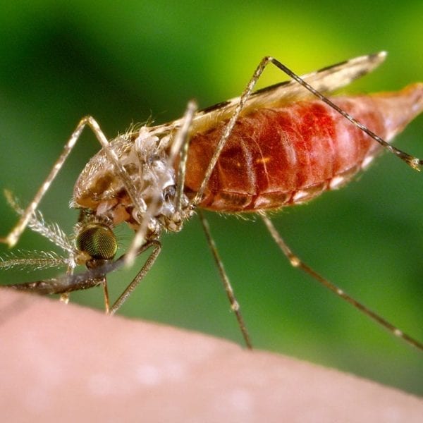 WHAT THEY LEARNED: Alana Engelbrecht and Sarah Waldis