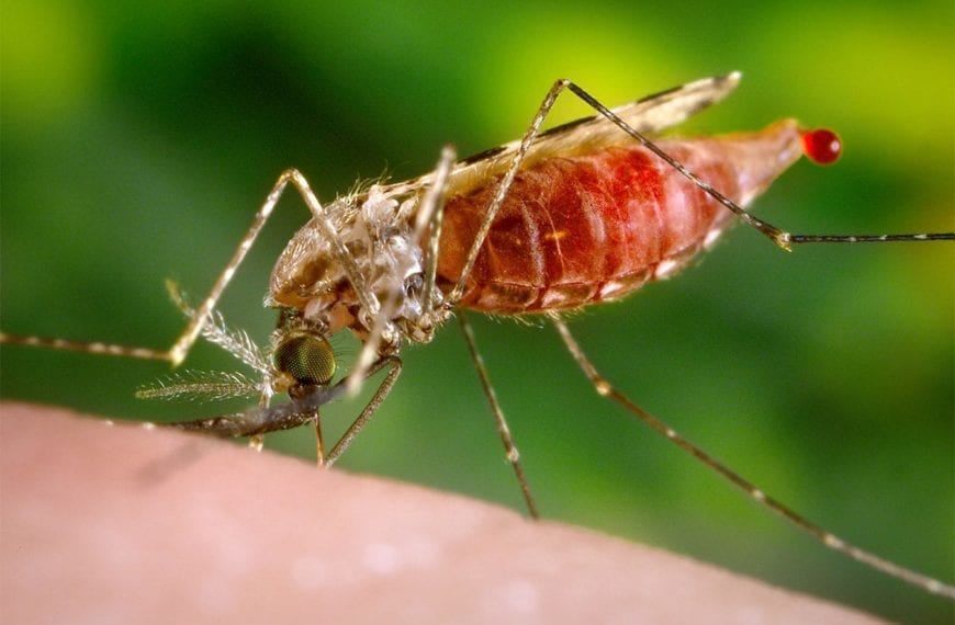 WHAT THEY LEARNED: Alana Engelbrecht and Sarah Waldis