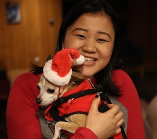 The Power of Puppies