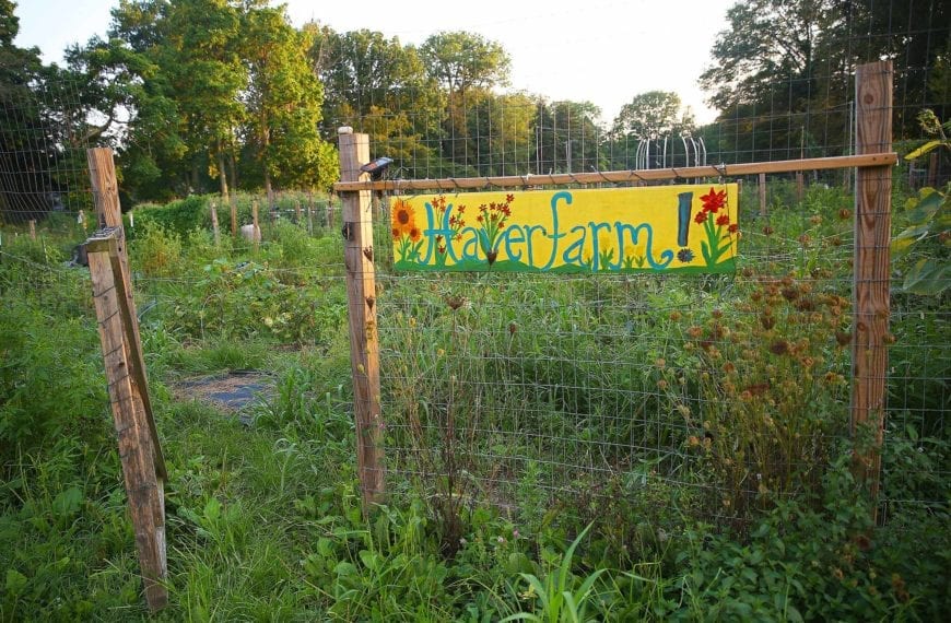 COOL CLASSES: “Food Bioethics: The Ethics, Justice, and Human Rights of Food Choice”