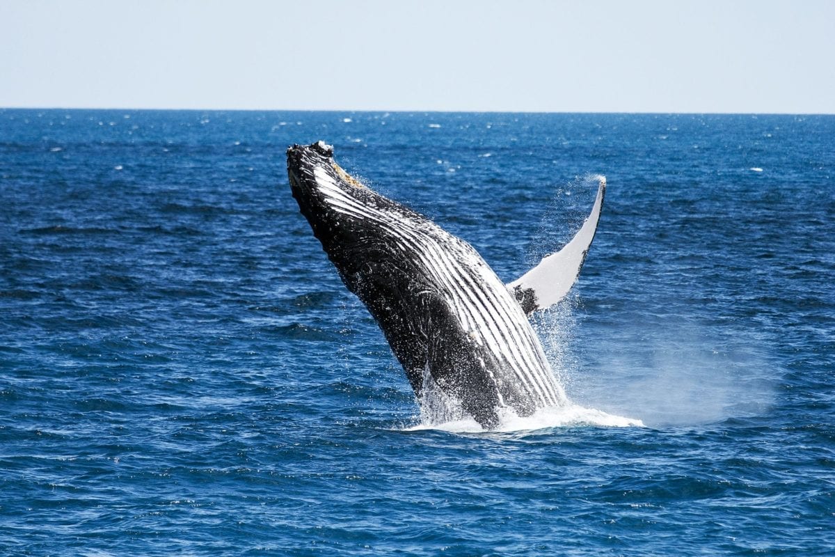 WHAT THEY LEARNED: Abigail Keller ’17