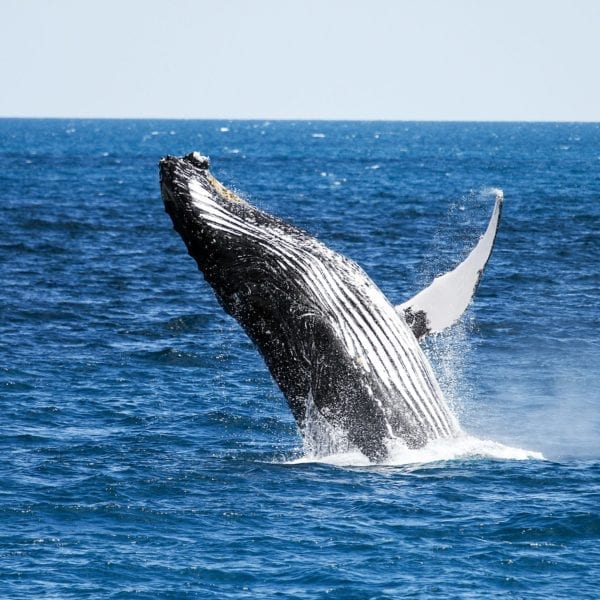 WHAT THEY LEARNED: Abigail Keller ’17