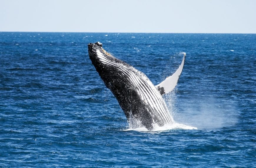 WHAT THEY LEARNED: Abigail Keller ’17