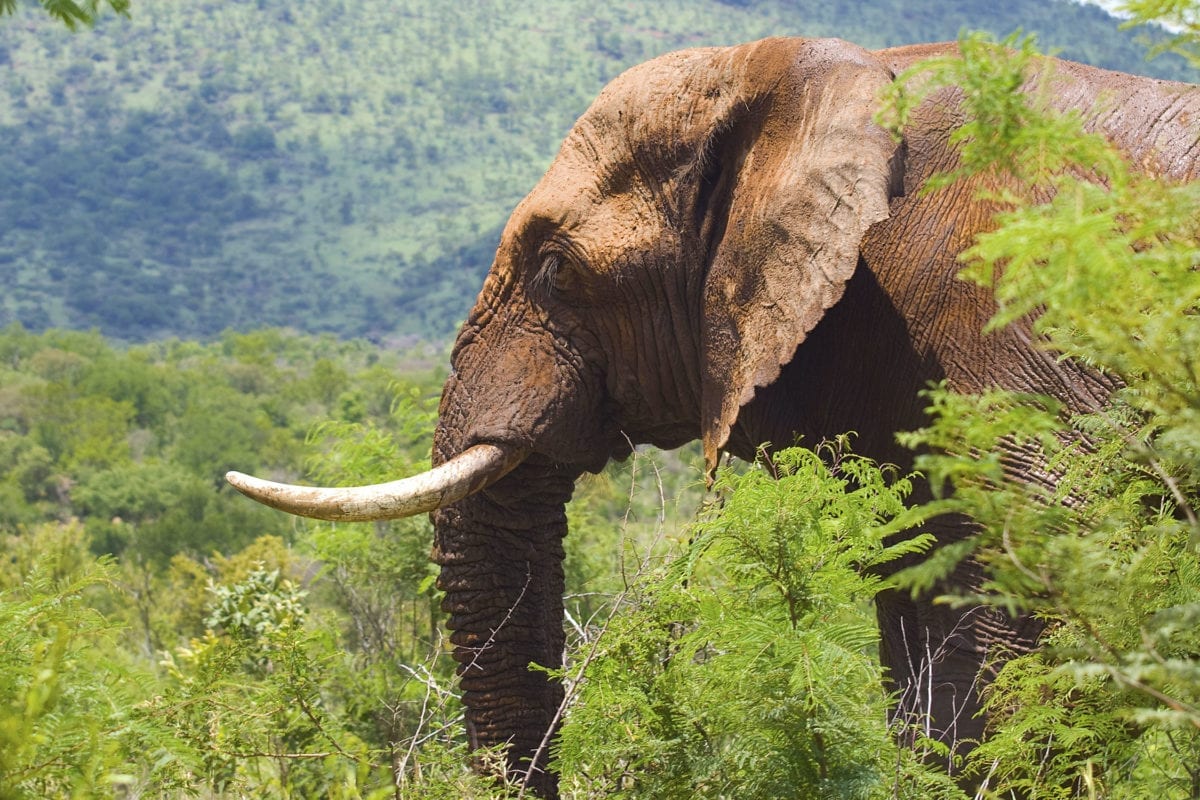 WHAT THEY LEARNED: Diana Schoder ’17