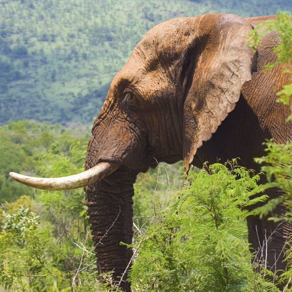 WHAT THEY LEARNED: Diana Schoder ’17