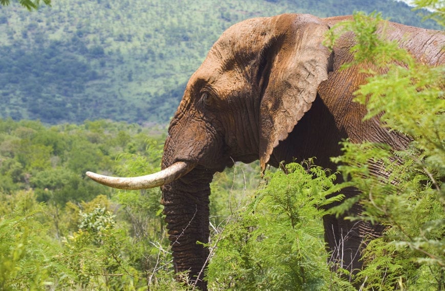 WHAT THEY LEARNED: Diana Schoder ’17