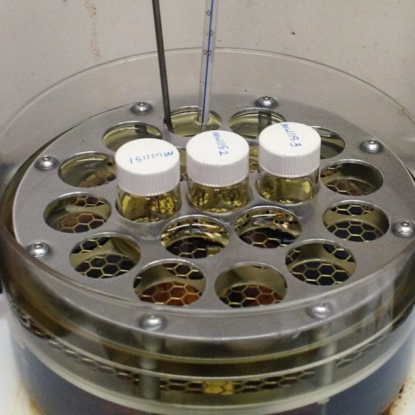 WHAT THEY LEARNED: Malia Wenny ’17