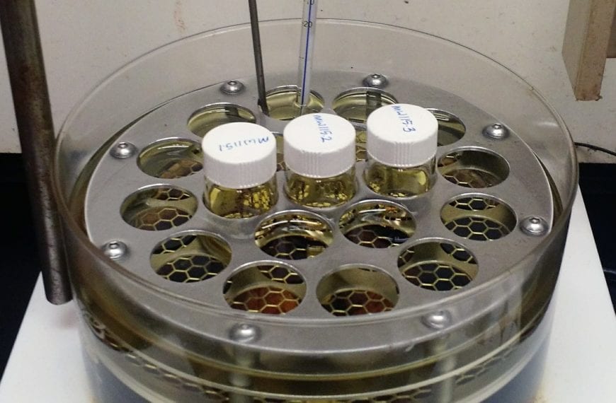 WHAT THEY LEARNED: Malia Wenny ’17