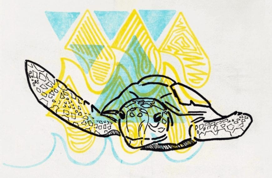 WHAT THEY LEARNED: Zoë Lewis ’17