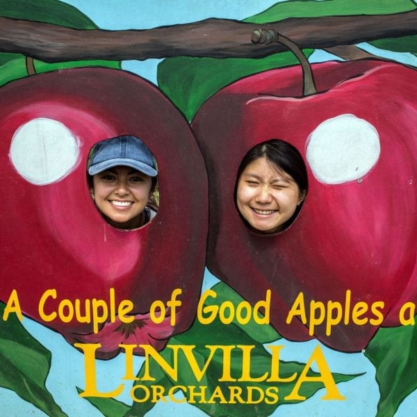 Posing as apples at the orchard