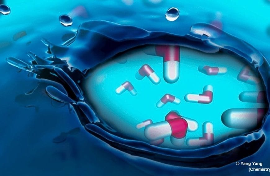 COOL CLASSES: “Chemistry in Everyday Life”