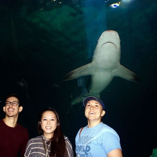 Students stand under a shark.