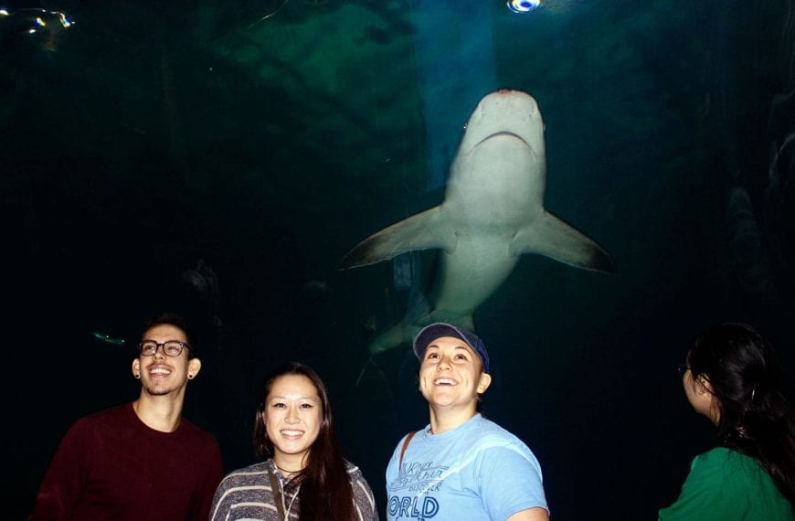 Students stand under a shark.