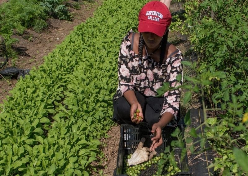 A student in the class at the campus farm