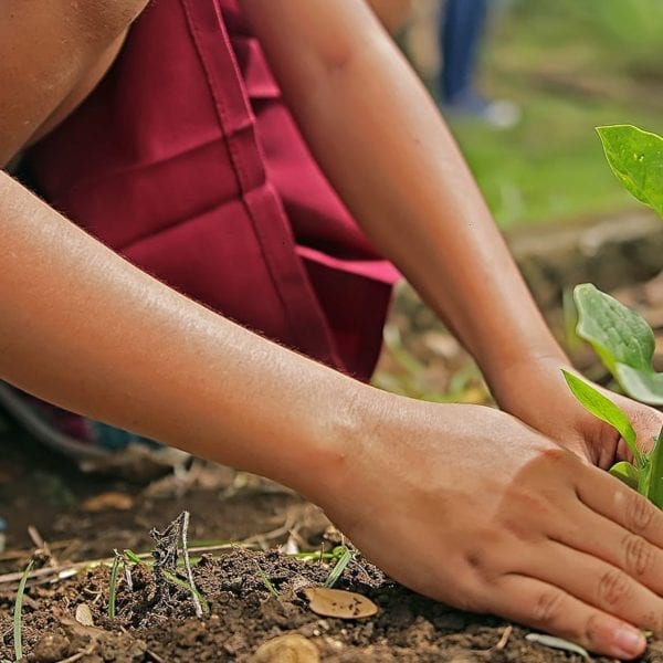 What They Learned: Alana Tartaro’17