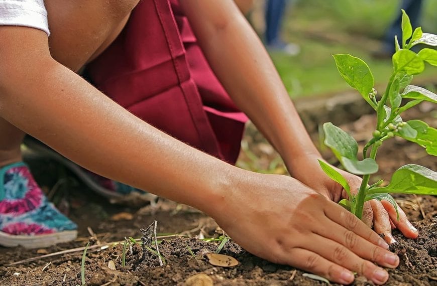 What They Learned: Alana Tartaro’17