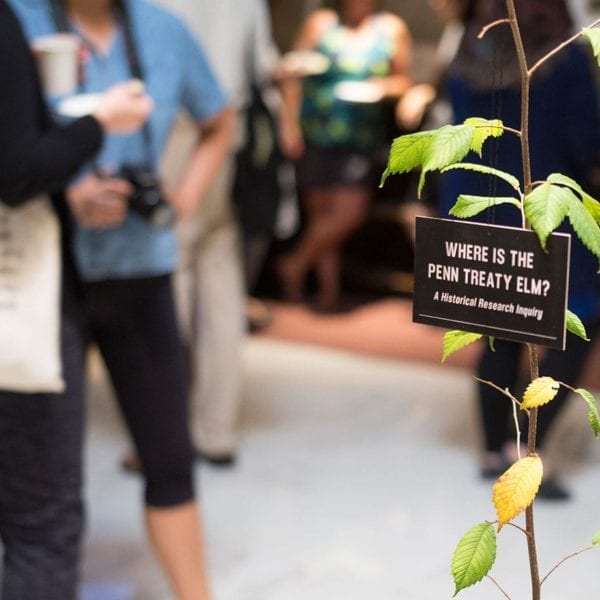 A tree in the exhibit