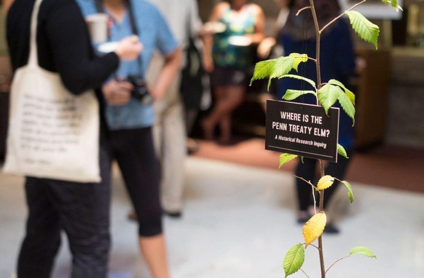 A tree in the exhibit