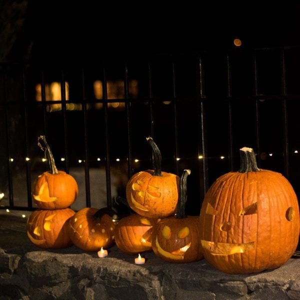 Pumpkins lit the way at the Night Hike.